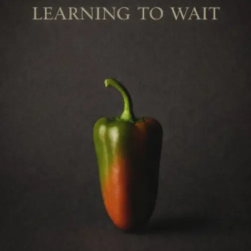 Learning to Wait